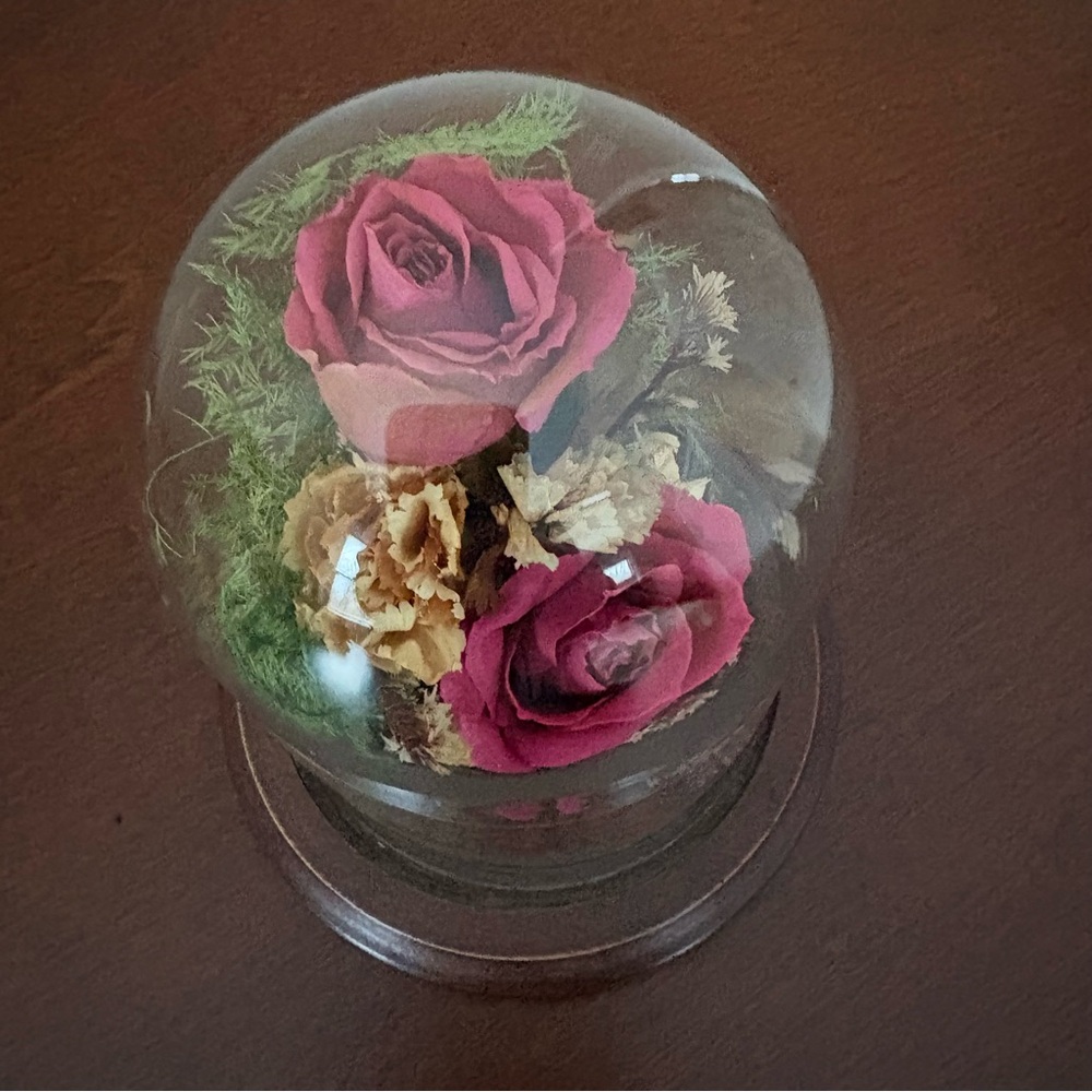 Vintage Natural Expressions Freeze Dried Preserved Roses Glass Dome & Wood Base - Picture 2 of 9